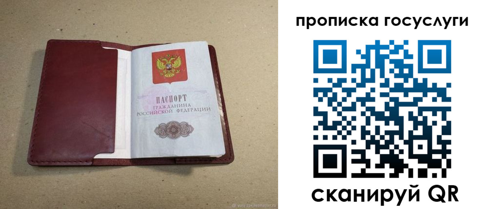 прописка поиск в Заринске