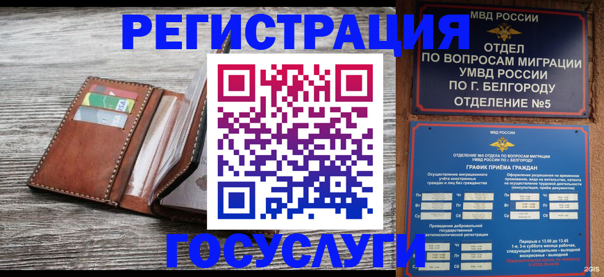 прописка 2025 в Заринске